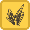 IndieBound_BuyButton